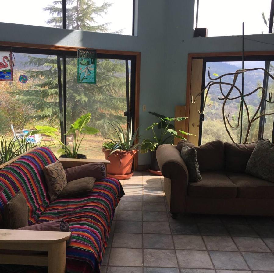 Sequoia Forest Retreat Badger Екстериор снимка