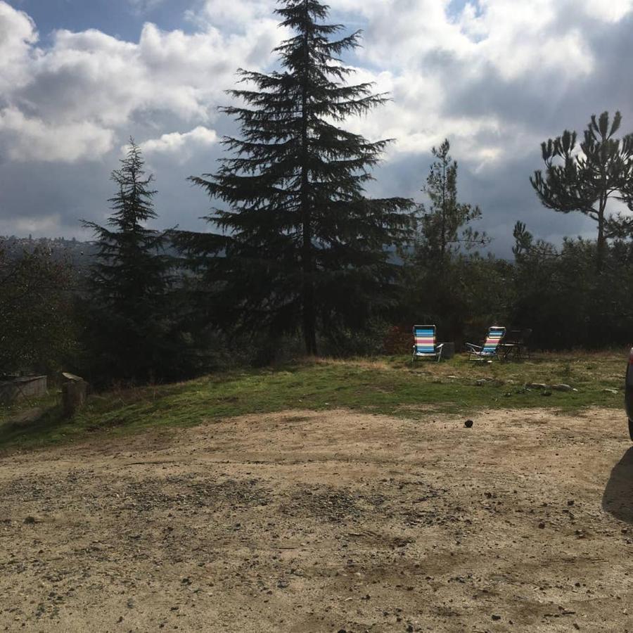 Sequoia Forest Retreat Badger Екстериор снимка